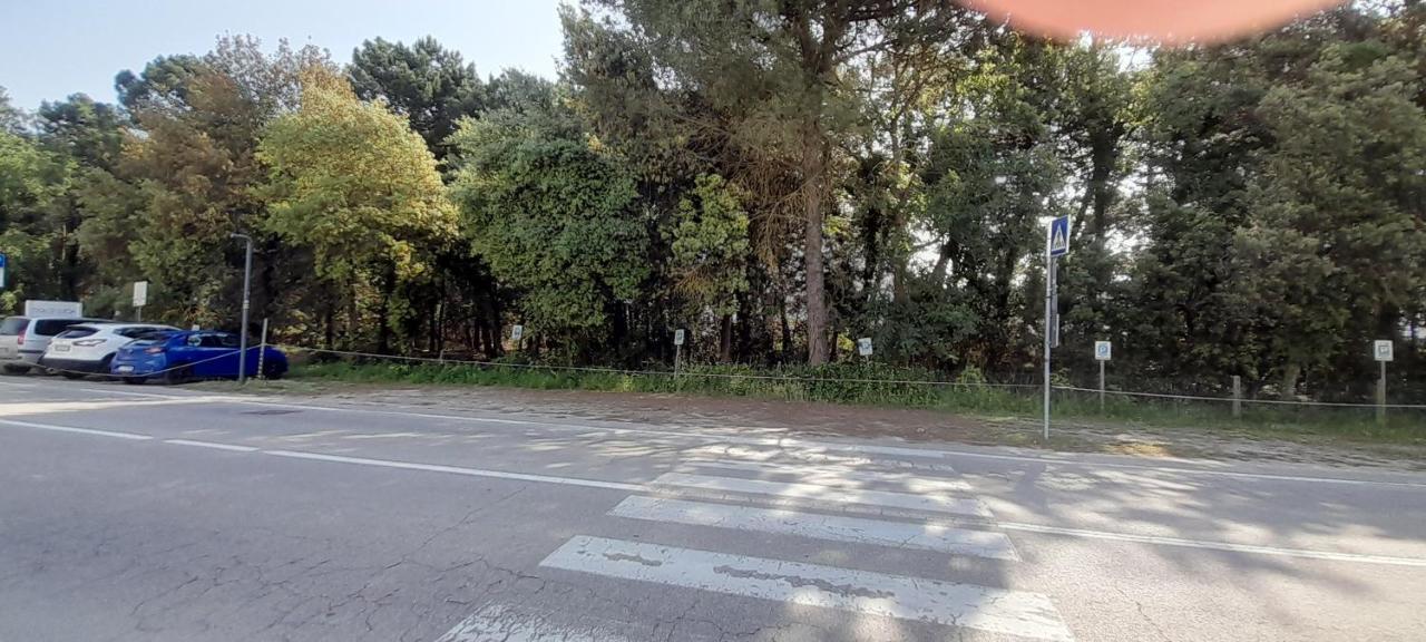 Hotel Maddalena Marina di Ravenna Kültér fotó